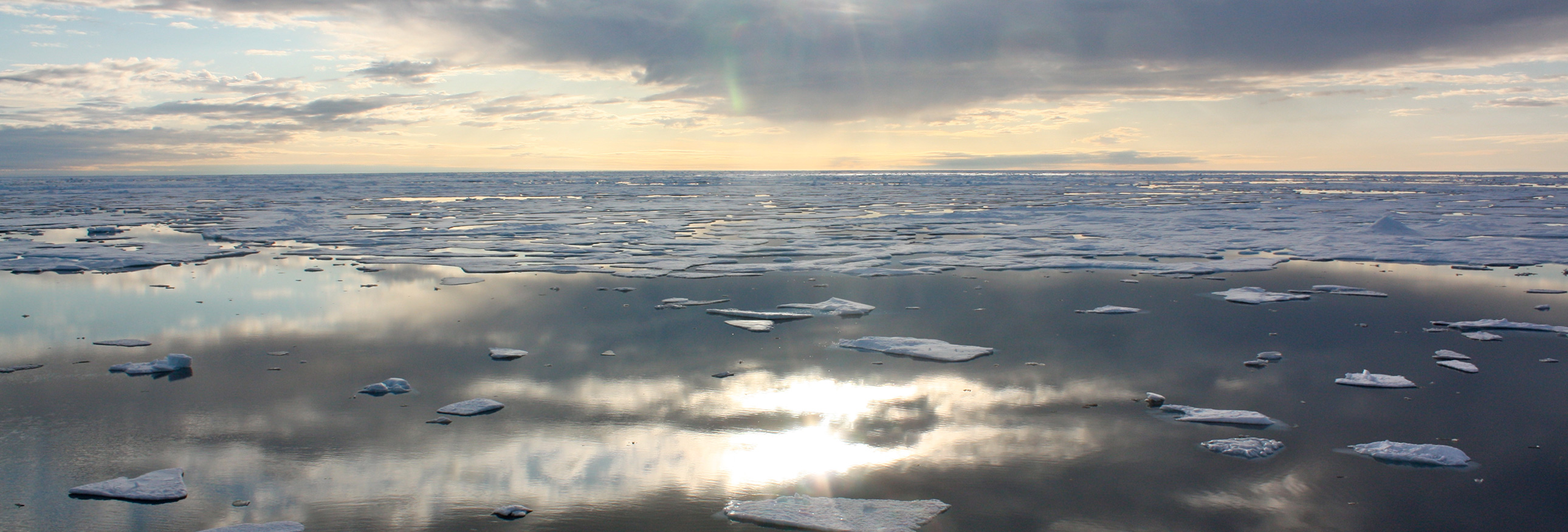 ice floes in the Arctic