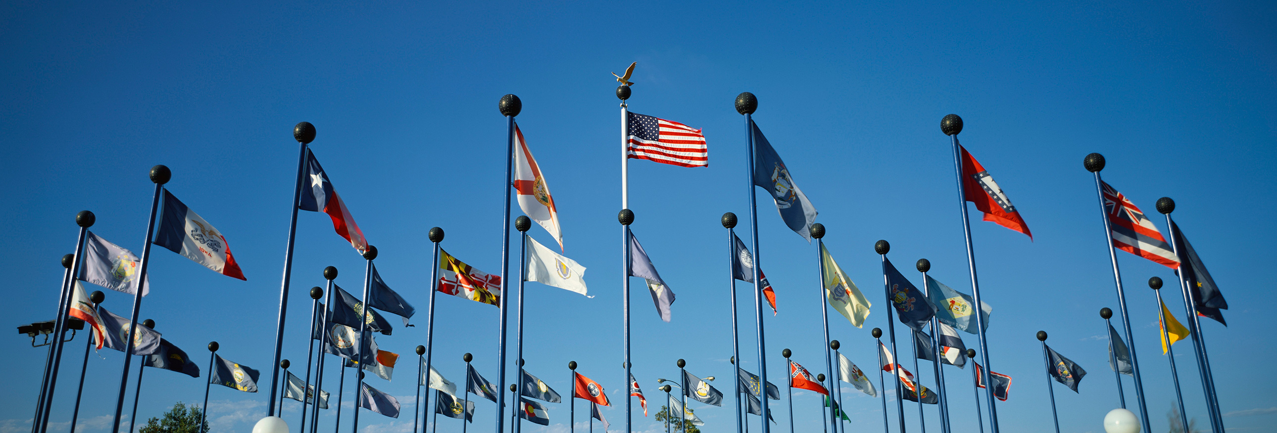 US state flags on flagpoles against a blue sky