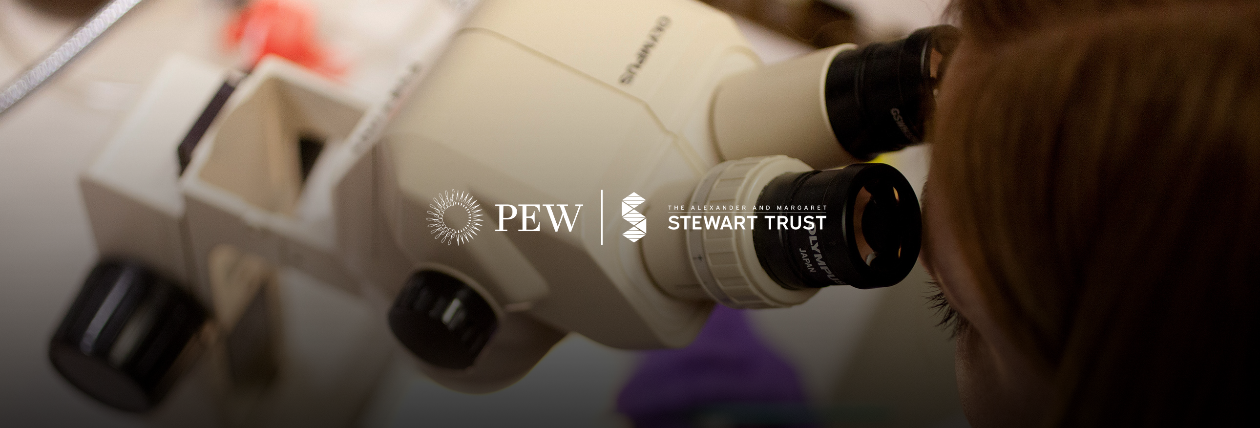 Pew-Stewart Scholars for Cancer Research