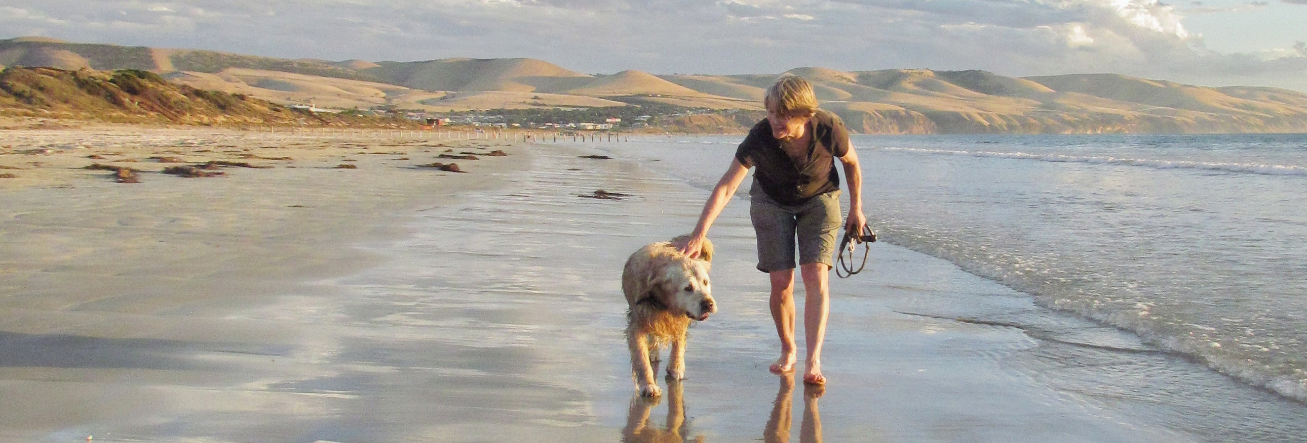 woman and dog walking on the beach