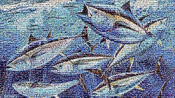 Bluefin Tuna Mosaic