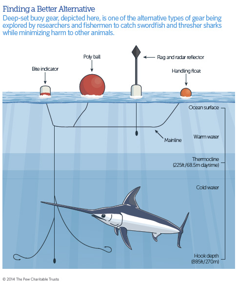 Different types of nets and gears used for catching the Asian seabass.