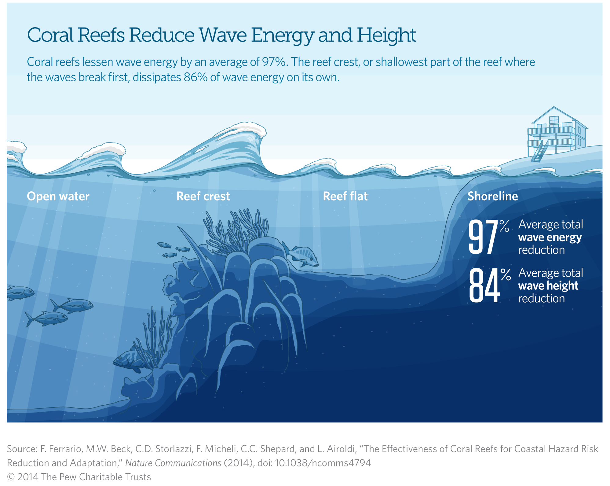 Coral Reefs Reduce Wave Energy and Height