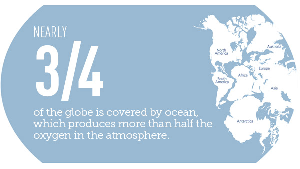 Nearly three-fourths of the globe is covered by ocean.