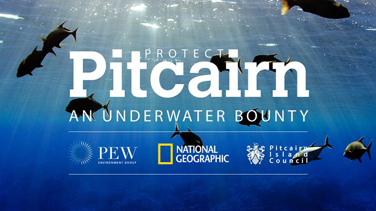 In the last 3 weeks National Geographic visited the four islands and atolls in the Pitcairn Archipelago (Pitcairn, Ducie, Henderson, and Oeno). They conducted 384 individual dives, spending a total of over 450 person-hours underwater.