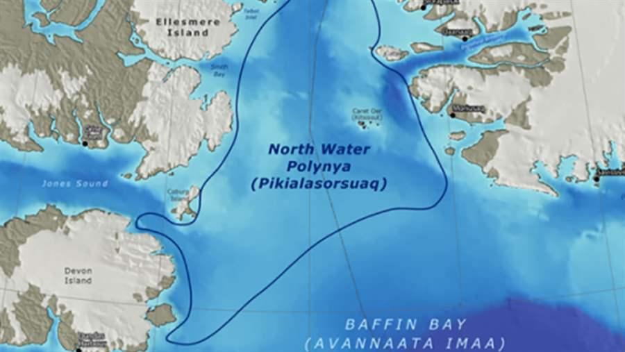 North Baffin and North Water (Polynya)
