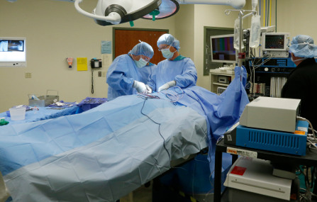Operation room shows two doctors in scrubs working over a covered patient