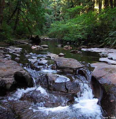 Devil's Staircase