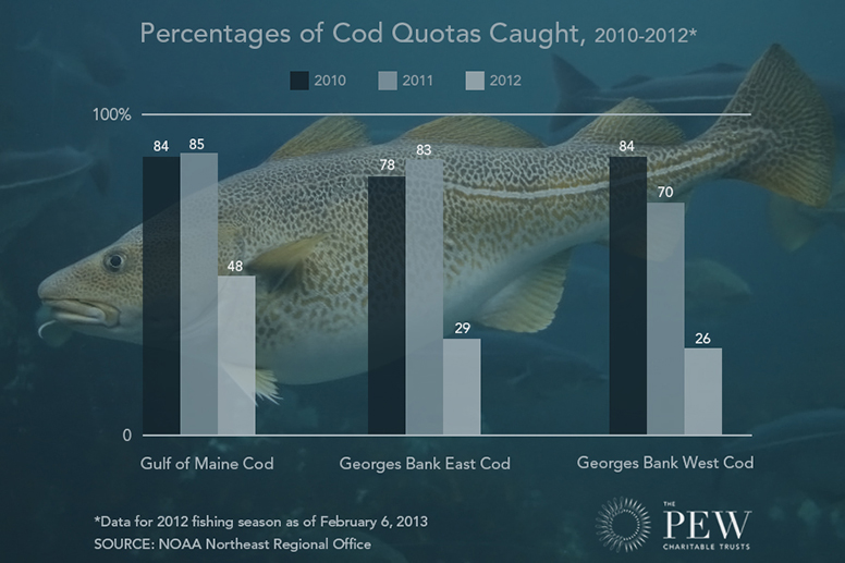 Percentages of Cod Quotas Caught