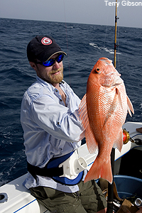 Red snapper