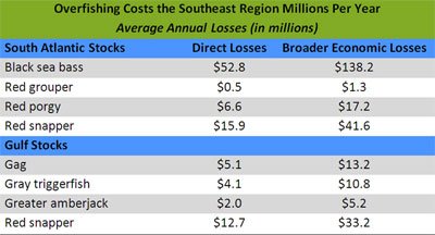 Overfishing Costs the Southeast Region Millions Per Year