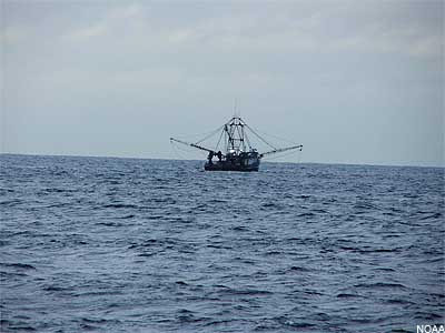 Groundfish Boat