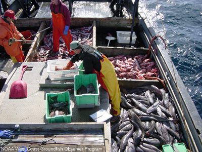 NOAA West Coast Groundfish Observer Programs