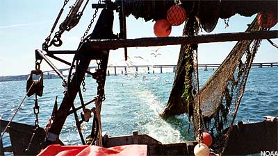 Small Northeast Groundfish Trawler