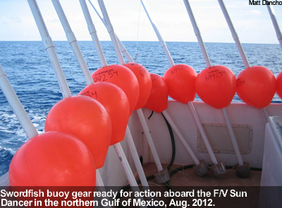 Swordfish buoy gearr
