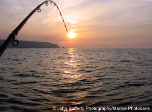Overfishing 101 Overfishing 101