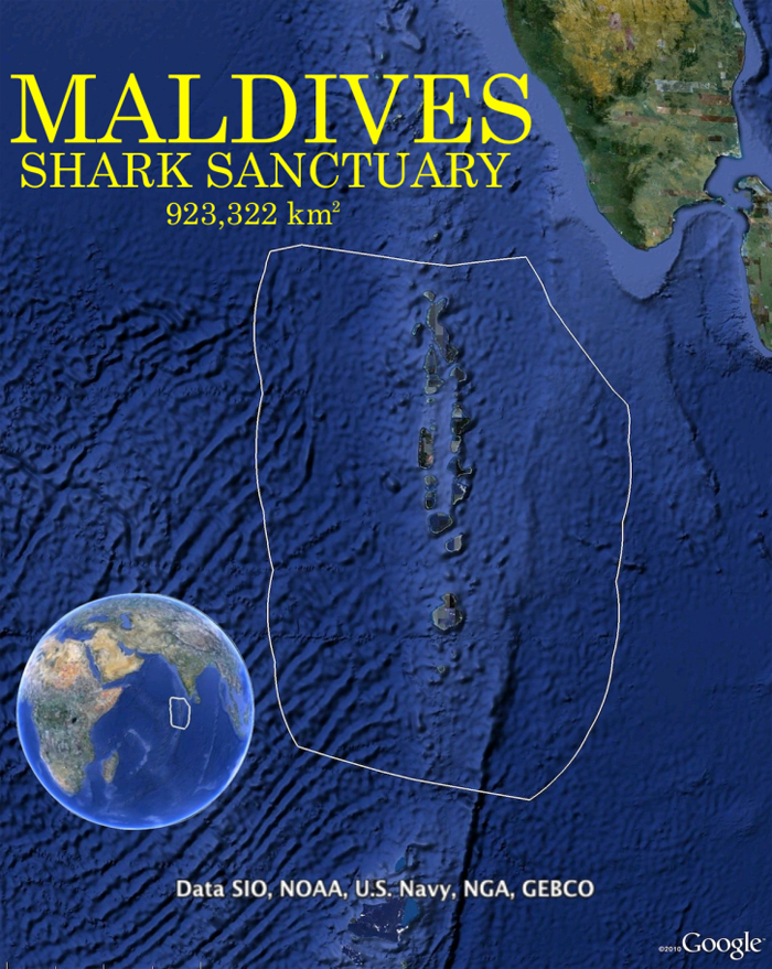 shrk-maldives-700-lw