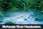 McKenzie River Headwaters