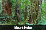 Mount Hebo