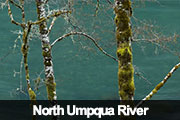 North Umpqua River