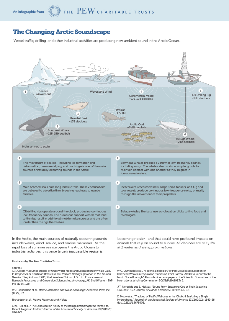 The Changing Arctic Soundscape