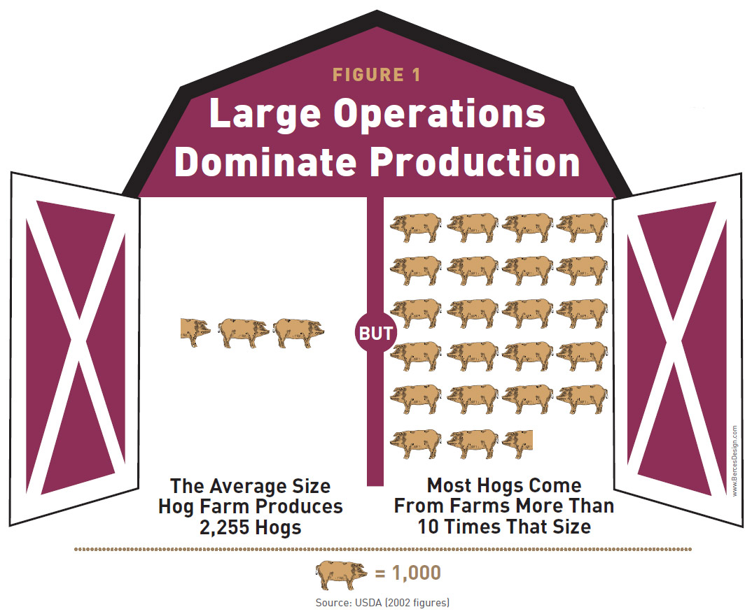Figure: Large Operations Dominate Animal Agriculture Production