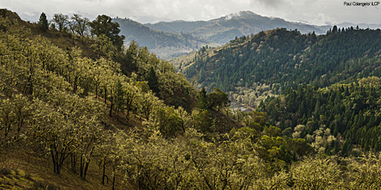 Protecting O&C Lands: Rogue River Canyon