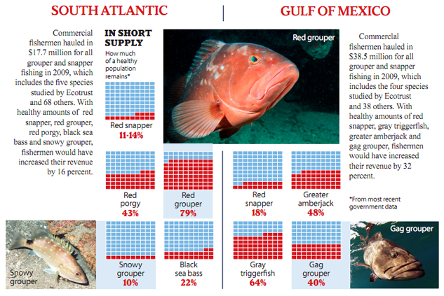 eosa-overfishing-red-grouper-633