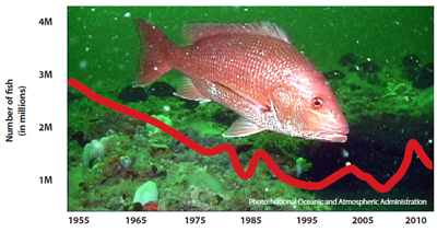 eosa-red-snapper-decline