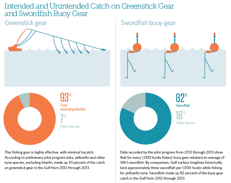 Alternative Fishing Gear to Stop the Waste of Bluefin Tuna