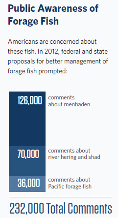 Public awareness of forage fish