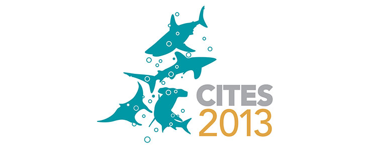 CITES 2013