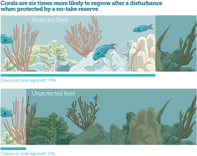No-Take Marine Reserves Make Coral Reefs More Resilient