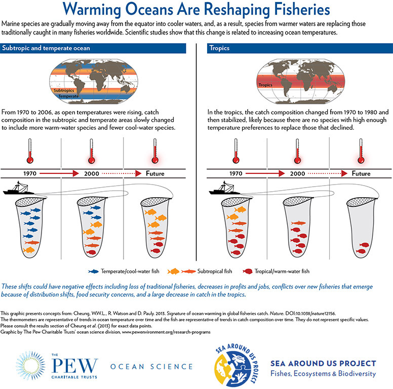 Warming Oceans Are Reshaping Fisheries