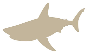 Requin-Taupe