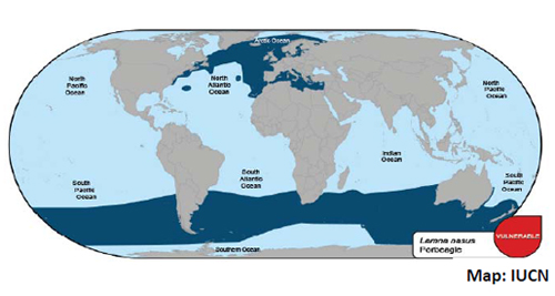 Porbeagle Shark Geographic Distribution