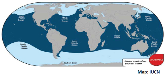 Shortfin Mako Geography