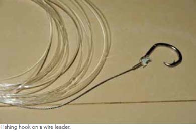 Banning Wire Leaders: A Practical Solution for Reducing Shark