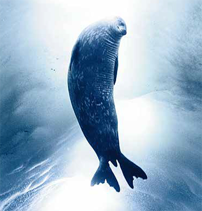 Seal