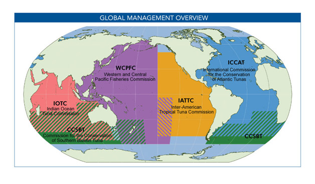 RFMO Map