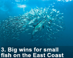 2012-small-fish-east-coast-150-lw