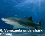 2012-venezuela-sharks-150-lw