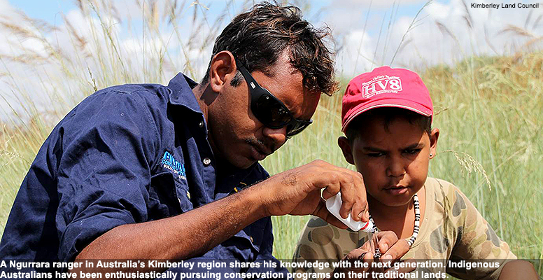 Australian Indigenous Ranger