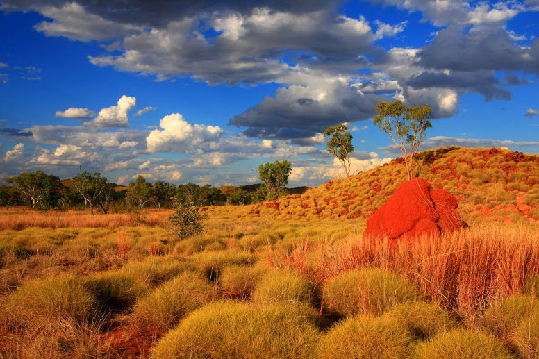 The Kimberley