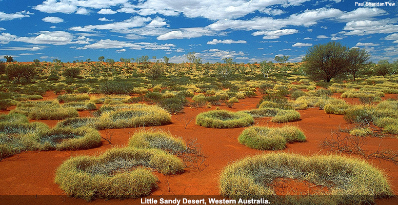 Little Sandy Desert