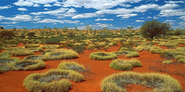 Little Sandy Desert, Western Australia