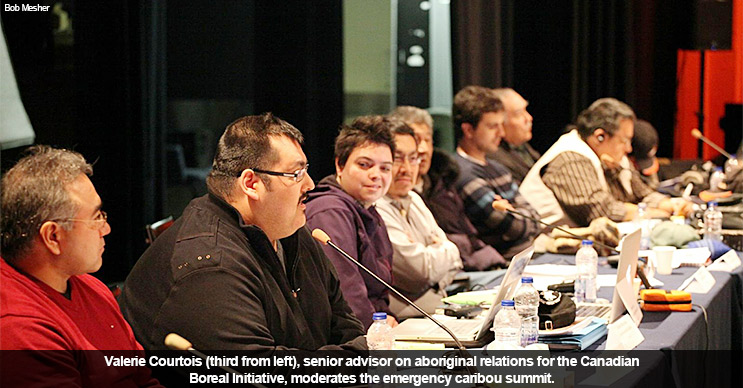 Valerie Courtois (third from left), senior advisor on aboriginal relations for the Canadian Boreal Initiative, moderates the emergency caribou summit.