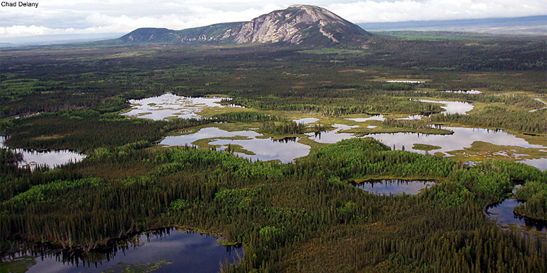 Boreal wetlands in the Northwest Territories  Credit: Chad Delany