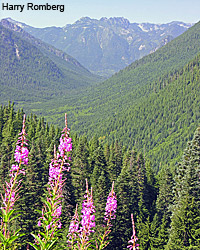 Alpine Lakes, Washington