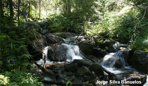 Columbine-Hondo Wilderness Act